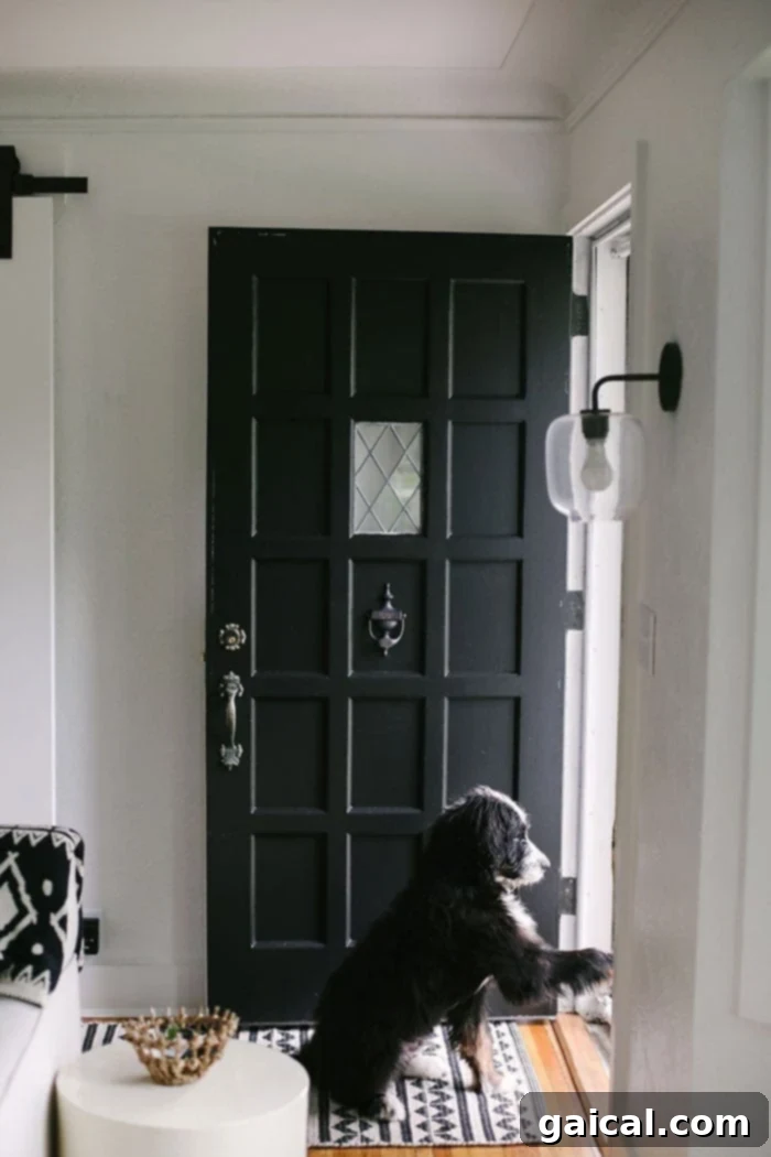 Charcoal Door with Puppy Charcoal Front Door with Bernedoodle Puppy: Welcoming Home Entryway