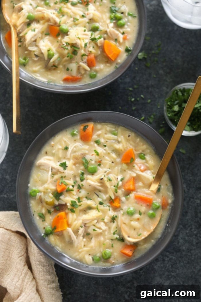Creamy Chicken Orzo Soup: A Healthy and Delicious Fall Dinner Idea A steaming bowl of creamy chicken orzo soup, garnished with fresh herbs, showcasing tender chicken, colorful carrots, and peas