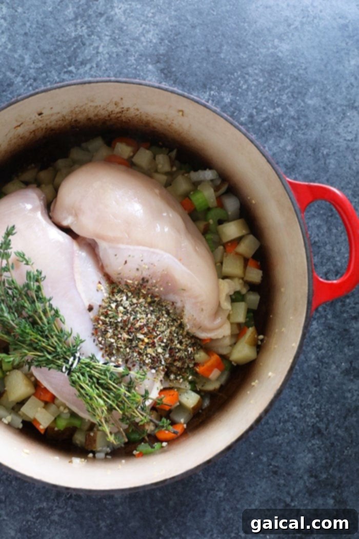 Simmering Perfection: Chicken and Veggies in Flavorful Broth Chicken breast and colorful vegetables simmering in a large pot, creating a fragrant soup base