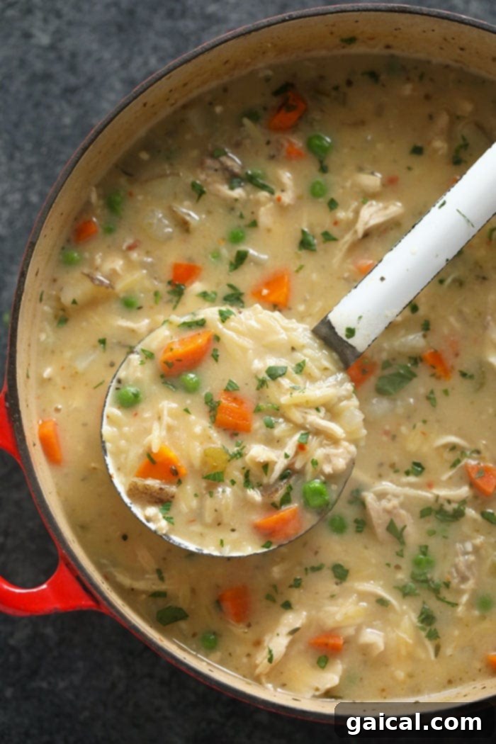 Hearty Creamy Chicken Orzo Soup: A Family Favorite A large pot of creamy chicken orzo soup, ready to be served, highlighting its rich texture and wholesome ingredients