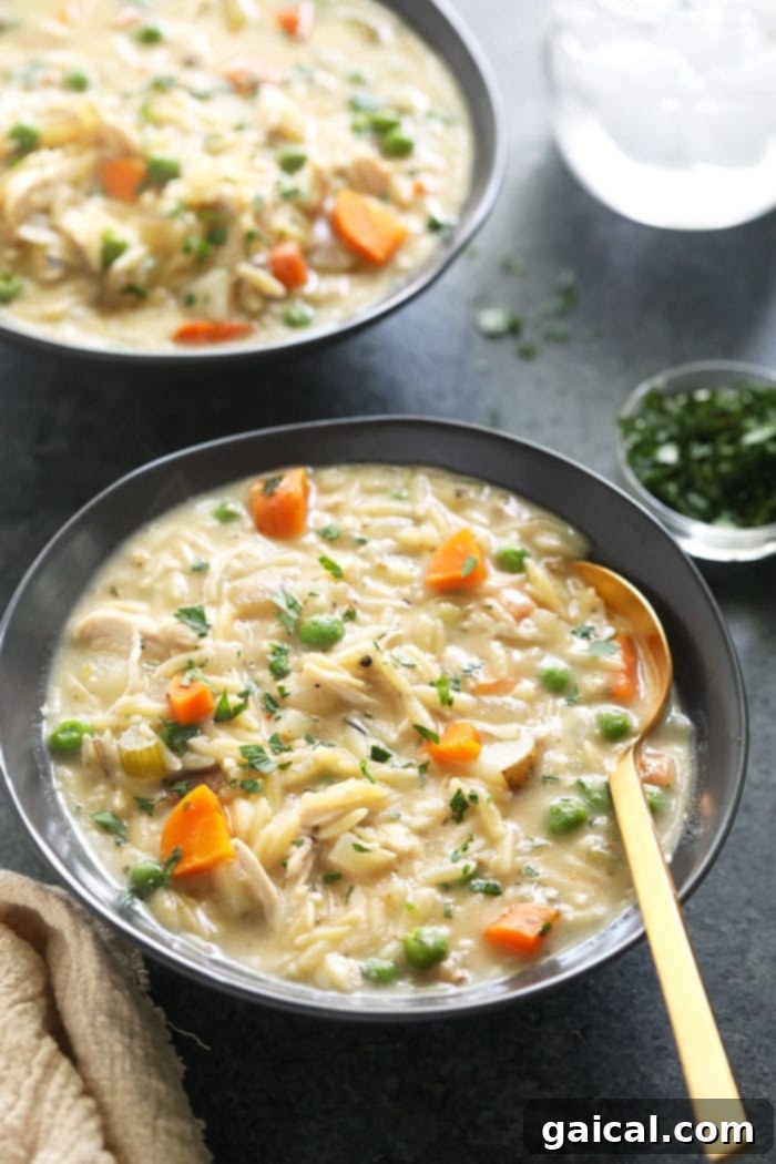 Perfect Spoonful: Creamy Chicken Orzo Soup with Every Bite A close-up of a spoonful of creamy chicken orzo soup, showcasing tender chicken, small orzo pasta, and green peas against a creamy broth