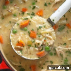A creamy spoonful of chicken orzo soup with carrots and peas, ready to be enjoyed.