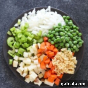 Silky Chicken Orzo Bliss 3 Chopped vegetables and seasonings mingling in a pot of broth, ready to simmer for chicken orzo soup.