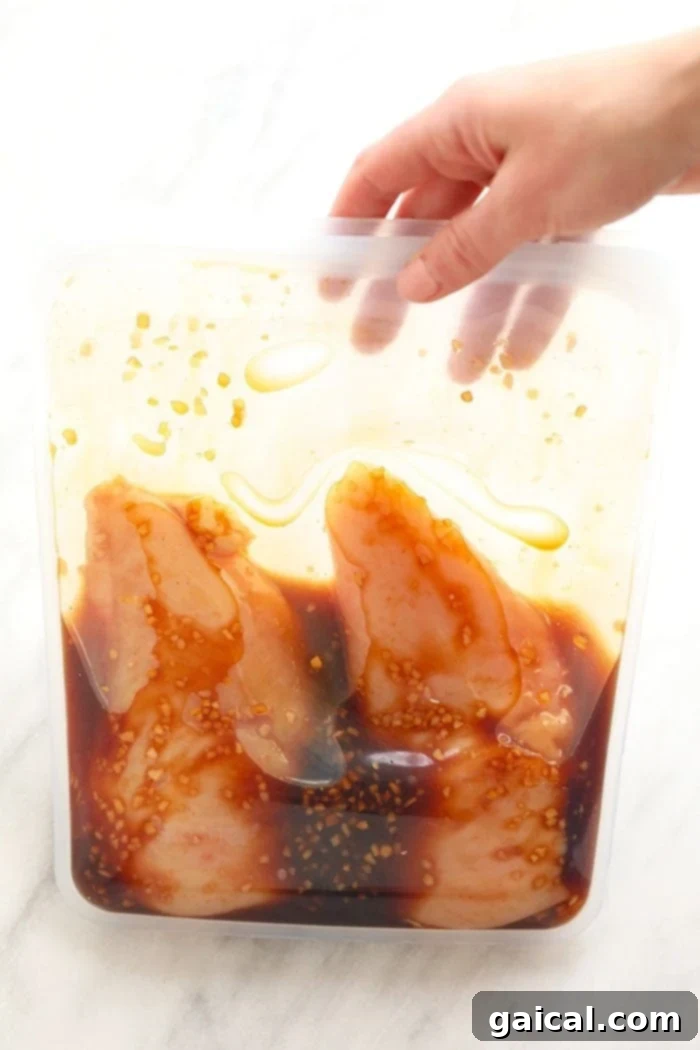 Chicken marinating in a clear Stasher bag, ready for grilling.