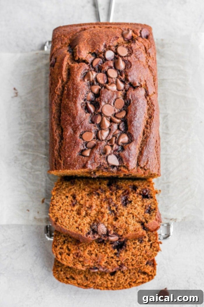 Moist and flavorful Healthy Pumpkin Bread, perfect for pumpkin season. A perfectly sliced loaf of healthy pumpkin bread, showcasing its moist texture and delicious chocolate chips.