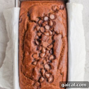 Wholesome Pumpkin Loaf 6 Freshly baked pumpkin bread in a loaf pan, cooling before being sliced.