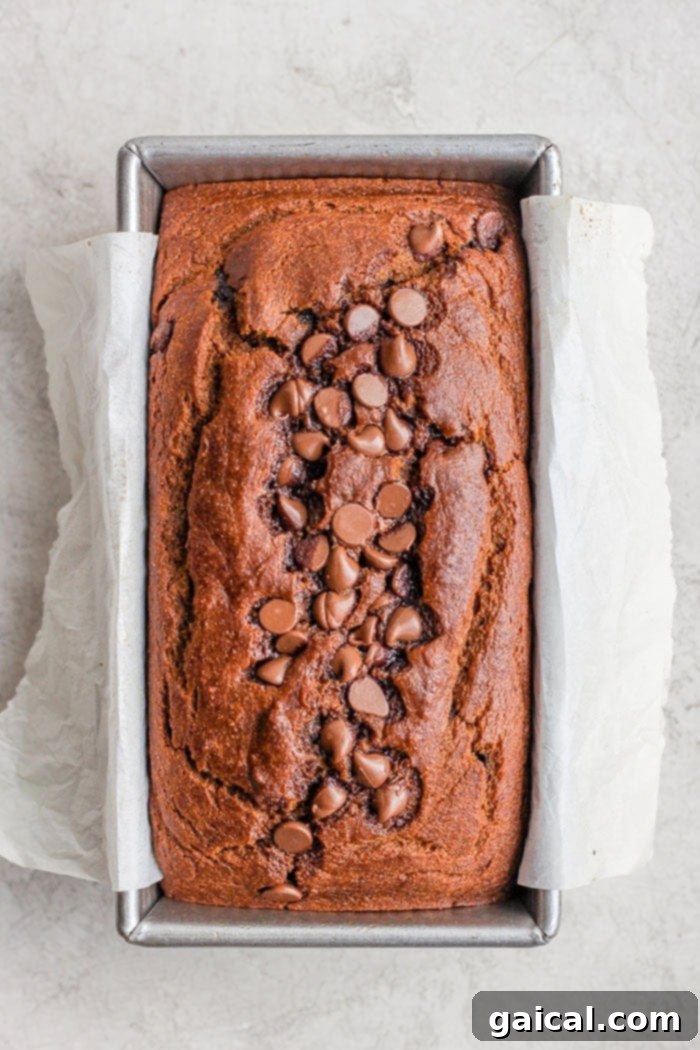 Freshly baked healthy pumpkin bread, a true autumn delight. A perfectly baked, golden-brown healthy pumpkin bread loaf just out of the oven, looking deliciously inviting.