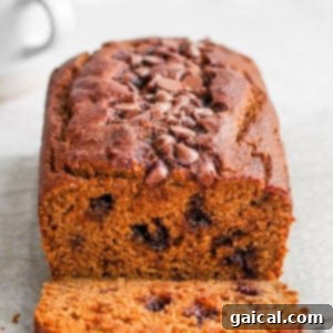 Wholesome Pumpkin Loaf 3 A delicious slice of healthy pumpkin bread.