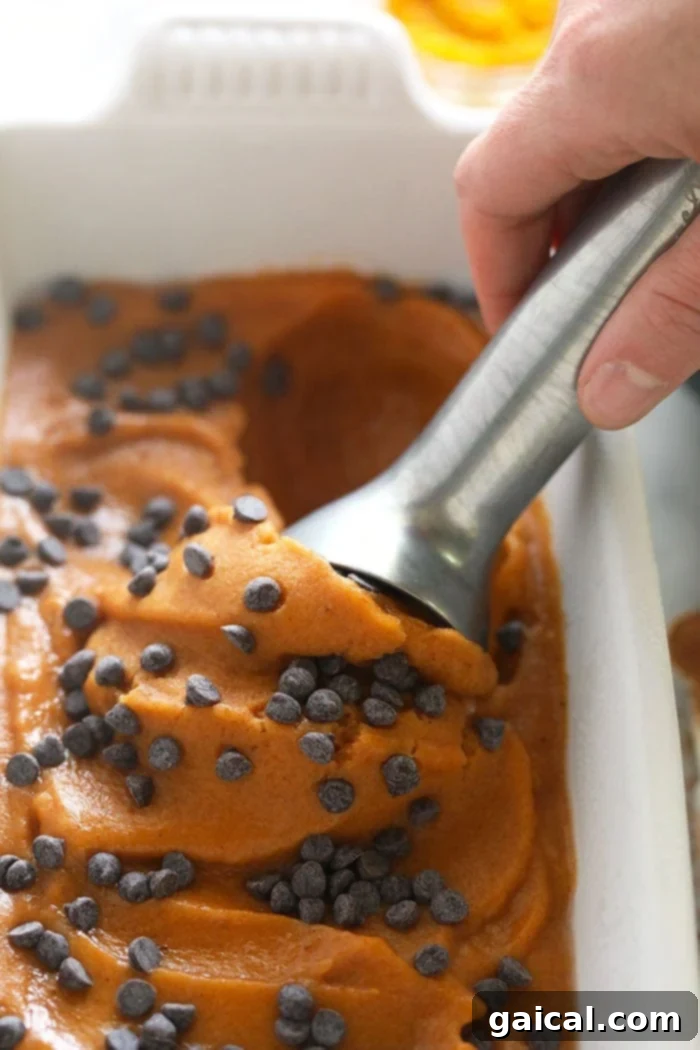 Spiced Pumpkin Nice Cream 2 Scooping a creamy portion of homemade pumpkin pie banana nice cream from a container, showcasing its rich orange color and smooth texture.