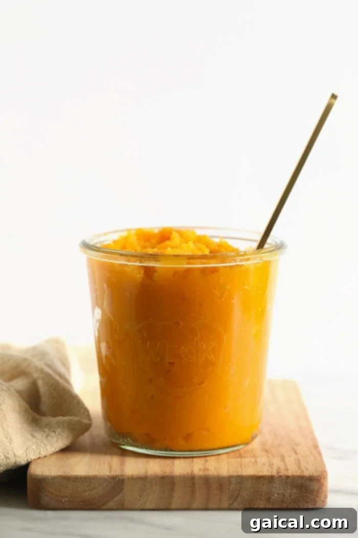 Homemade Butternut Squash Puree Jar Butternut squash puree stored in a glass jar, ready for use in recipes