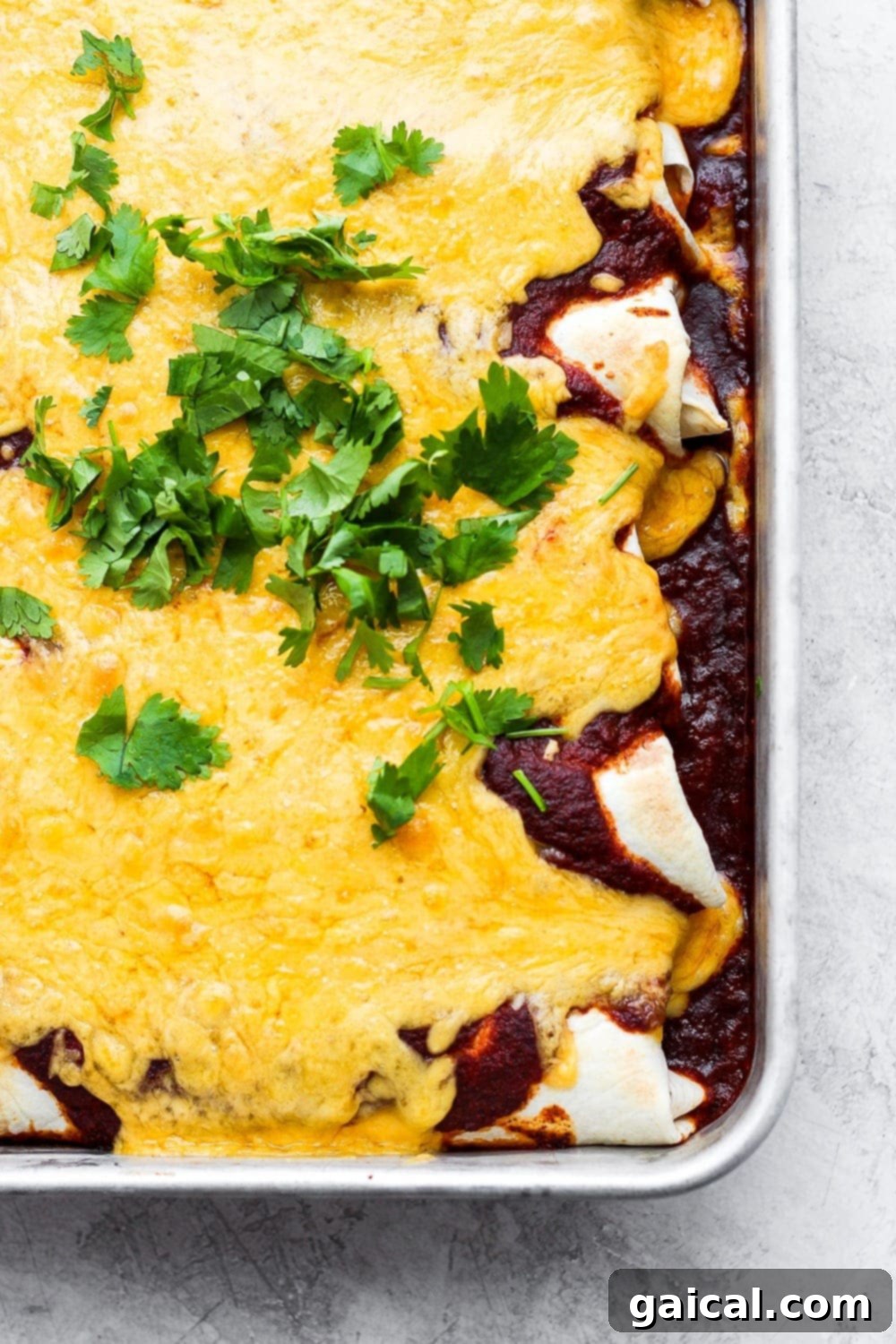 Rotisserie Chicken Enchilada Bake 7 A pan of cooked rotisserie chicken enchiladas, golden and cheesy, garnished with fresh cilantro and ready for serving.