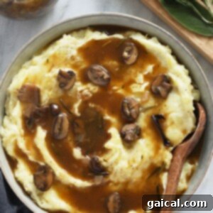 Vegan mashed potatoes with mushroom gravy.