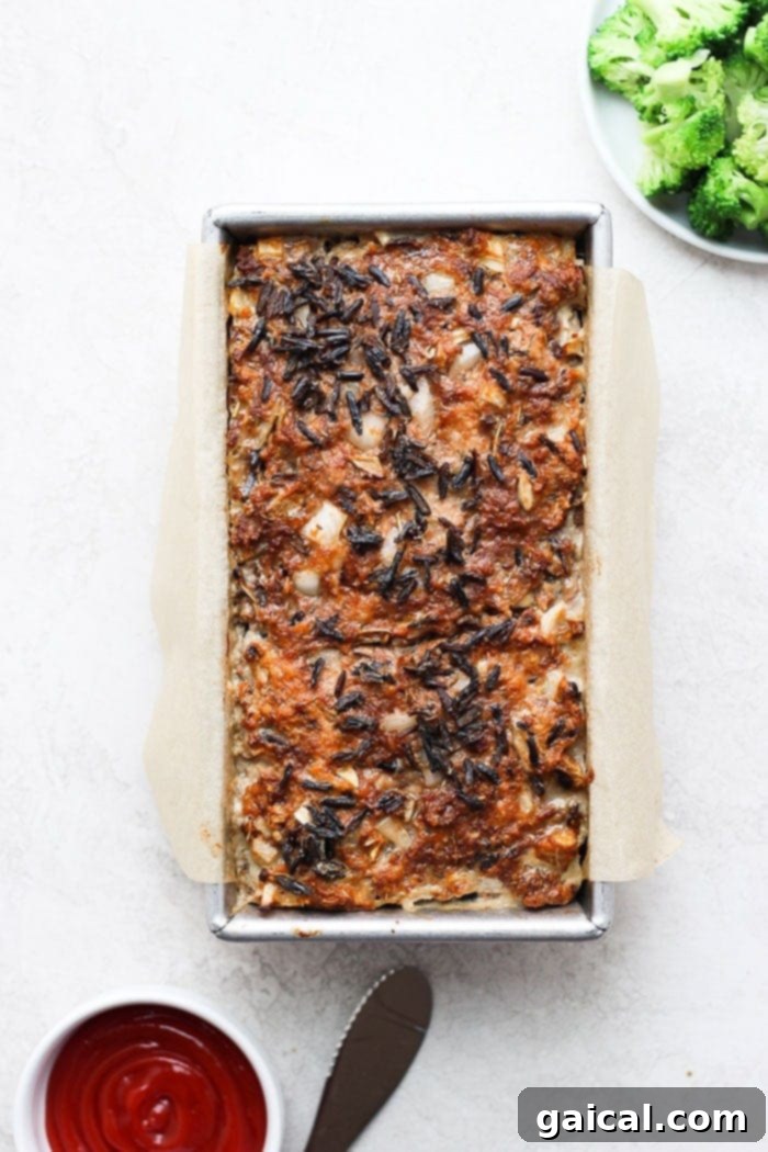 Wild Rice Meatloaf fresh out of the oven, with a slightly browned top, ready for the final ketchup glaze.