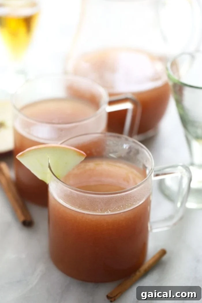 A steaming glass mug of spiked apple cider, perfectly garnished, sits invitingly on a wooden surface.