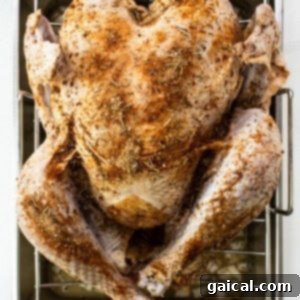 Ultimate Turkey Blend 7 Turkey with a dry rub.