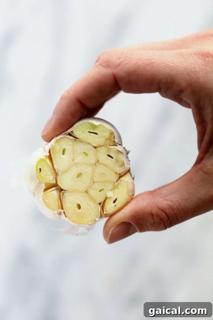 Prepping garlic for roasting: a simple trim exposes the cloves for optimal caramelization. A fresh garlic bulb with its top trimmed, revealing the cloves, ready for roasting.