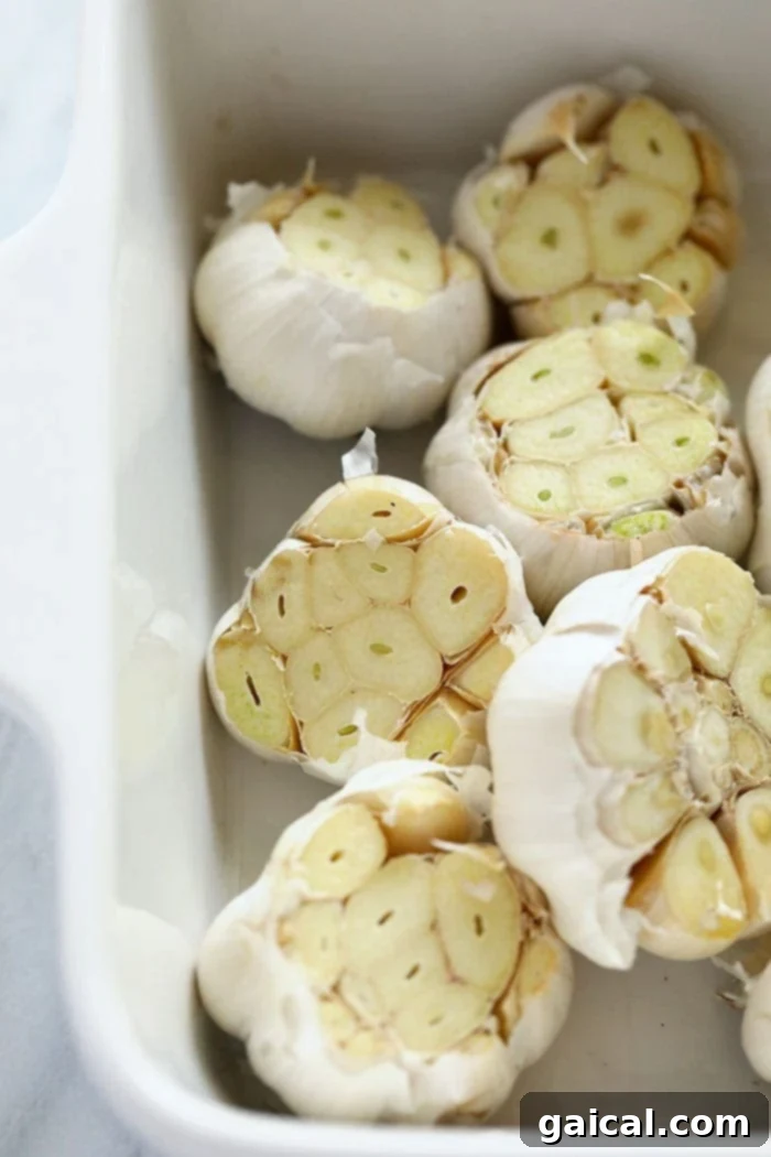 A simple arrangement of garlic bulbs in a baking dish, ready for their flavor transformation. Multiple fresh garlic bulbs arranged in a baking dish, perfectly prepared for roasting.