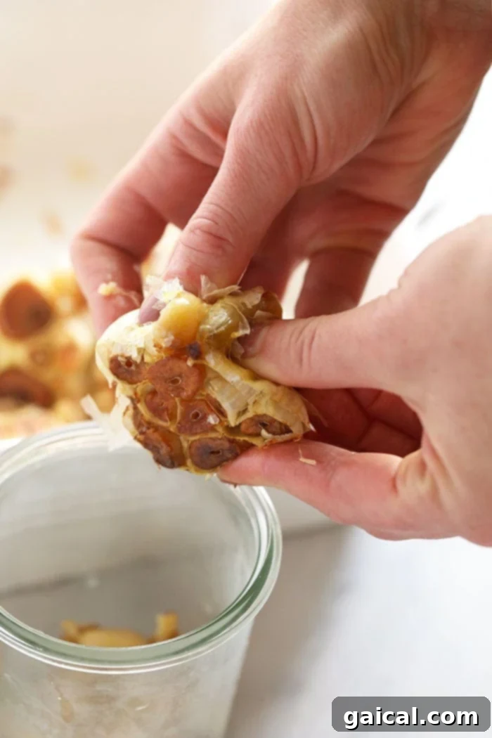 Effortlessly extracting sweet, soft roasted garlic cloves from the bulb. A hand gently pushing roasted garlic cloves out of their skin from a garlic bulb.