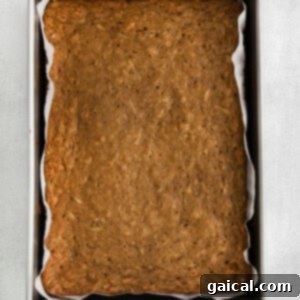 An unfrosted apple cake, recently removed from the oven and cooling, showing its golden-brown top.