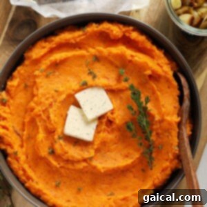 Sweet Potato Mash 2 A bowl of creamy mashed sweet potatoes, ready to be served.