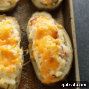 The Double Baked Dream 6 Close-up of golden-brown twice baked potatoes with melted, bubbly cheddar cheese topping, fresh out of the oven.