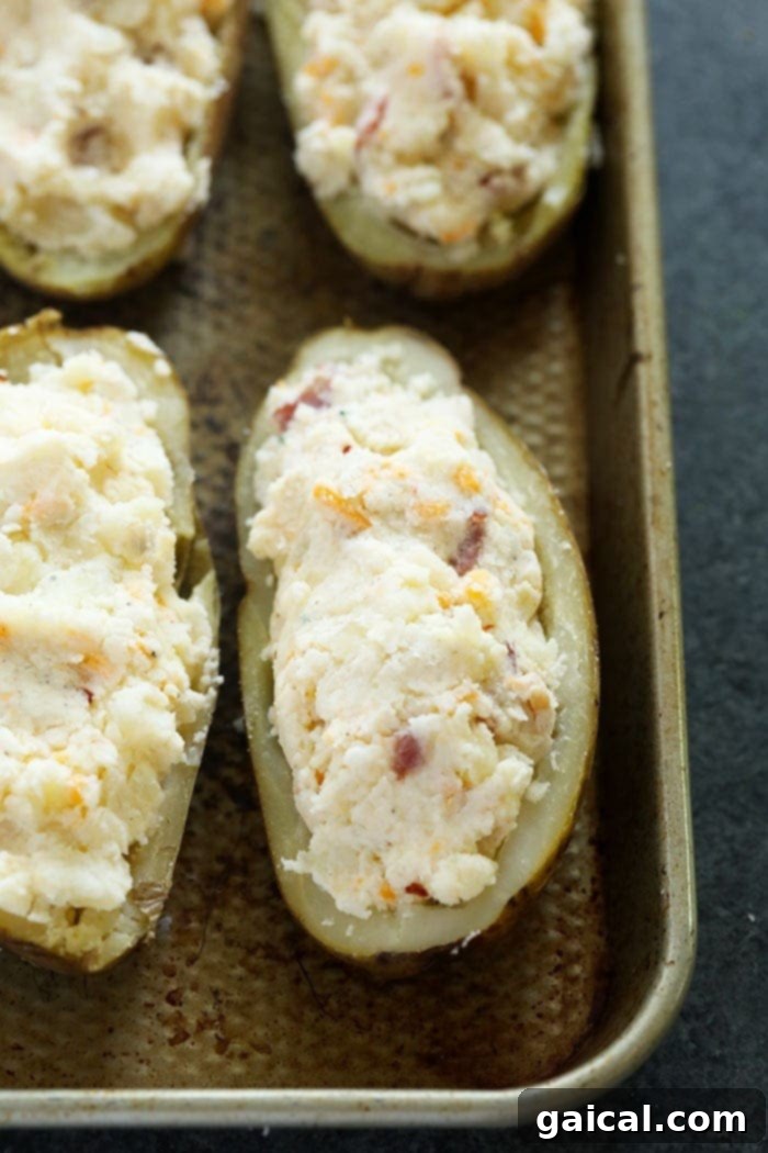 Getting ready for the final bake: potato skins generously filled with the creamy mixture. Several filled twice baked potato skins arranged neatly on a baking sheet, ready for their second bake.