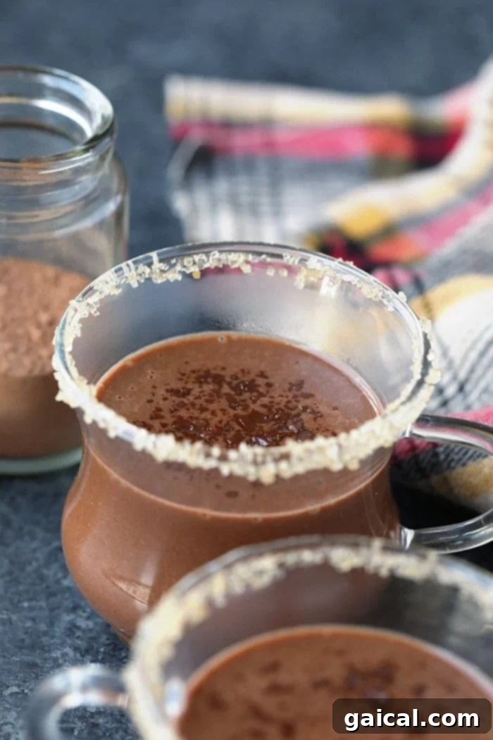 Decadent Spiced Coconut Hot Chocolate A mug of decadent spiced coconut hot chocolate, garnished with star anise and cinnamon, perfect for a cozy evening.
