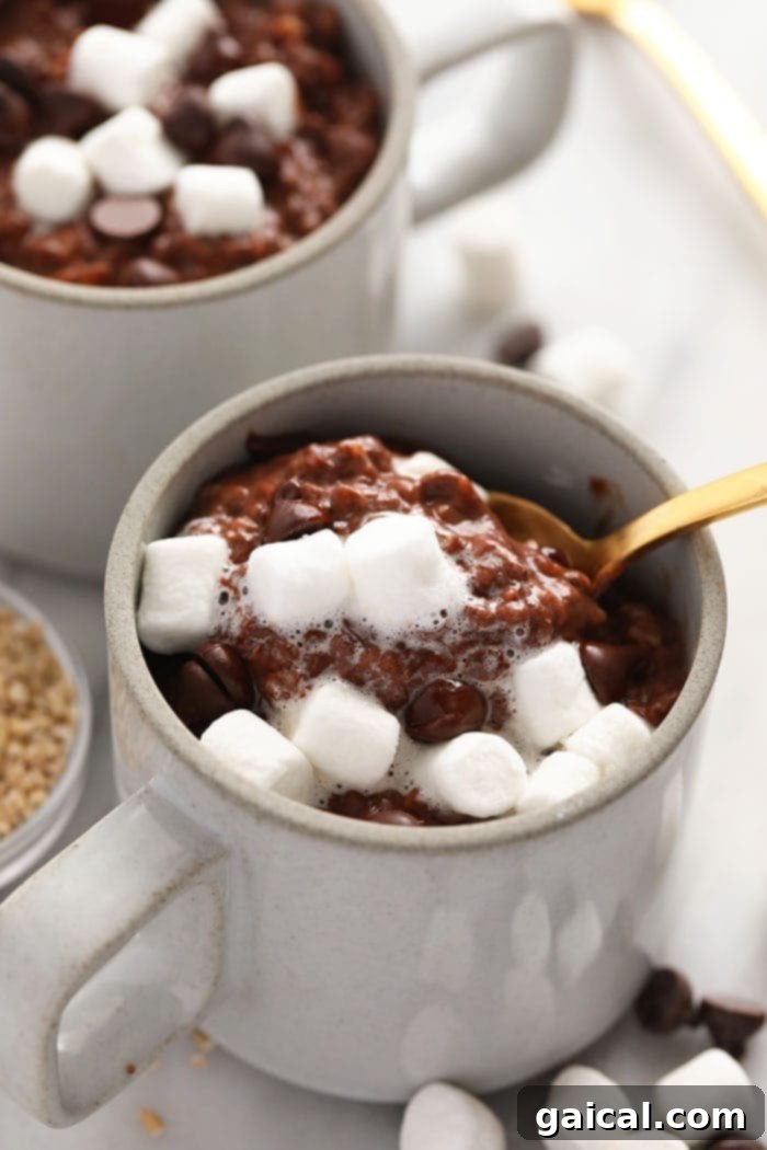 A mug of hot cocoa steel cut oats topped with fluffy marshmallows, ready to be enjoyed as a perfect winter breakfast.