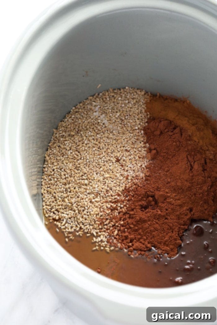 Ingredients for hot cocoa steel cut oats laid out next to a slow cooker, ready for preparation.