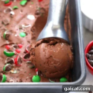 Banana nice cream in a tin, garnished with chocolate chips