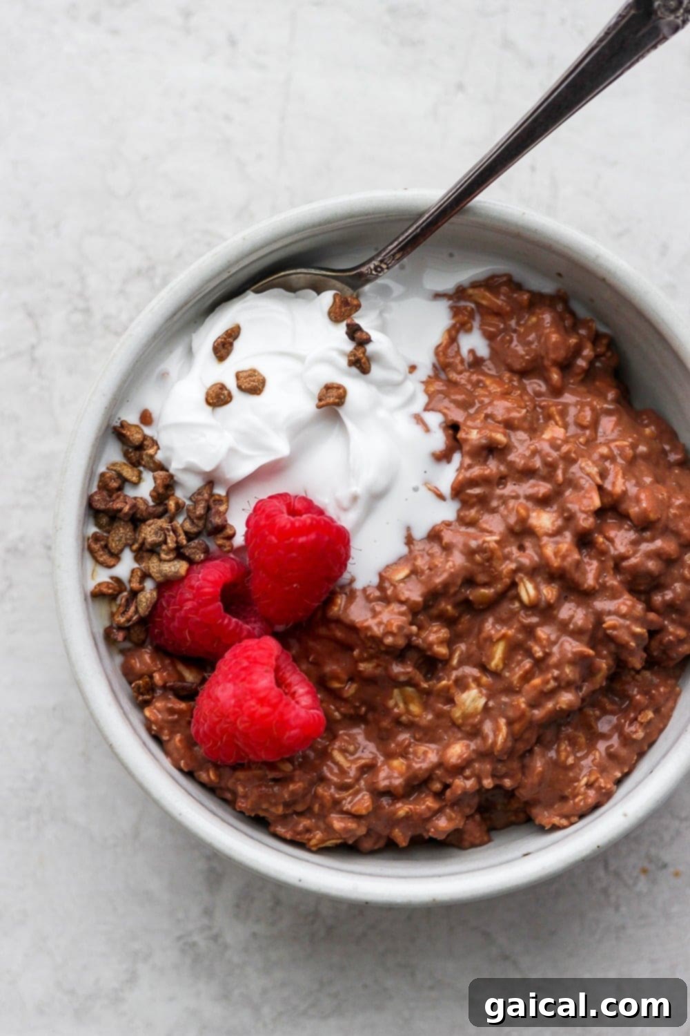 Delicious Chocolate Sea Salt Protein Oatmeal A beautifully presented bowl of chocolate protein oatmeal, garnished with fresh raspberries and a drizzle of almond butter. It looks rich and inviting.