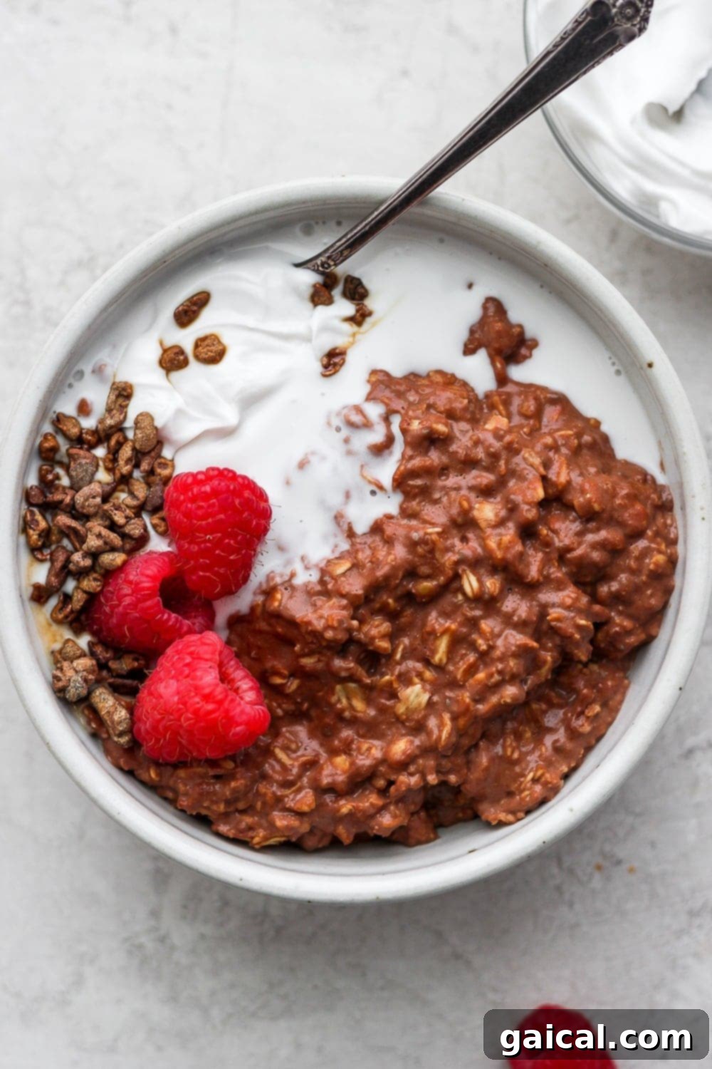 Chocolate Protein Oatmeal with Raspberries A delectable bowl of chocolate sea salt protein oatmeal, topped with fresh raspberries and a generous swirl of almond butter, enticingly ready to eat.