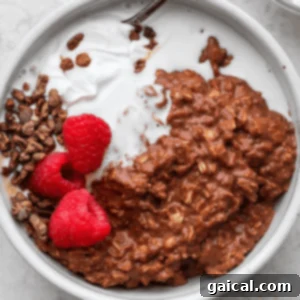 Decadent Chocolate Protein Oatmeal 2 A bowl of chocolate protein oatmeal with raspberries and whipped cream.