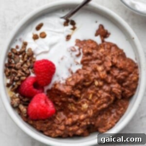 Decadent Chocolate Protein Oatmeal 5 A bowl of oatmeal with chocolate granola, raspberries, and whipped cream, ready to be enjoyed.
