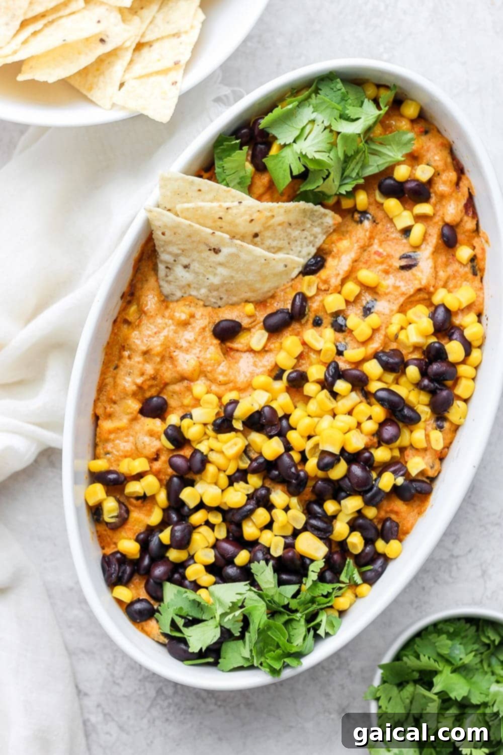 A beautifully presented Vegan Mexican Street Corn Queso Dip in a ceramic dish, ready to be served with tortilla chips and fresh cilantro garnish.