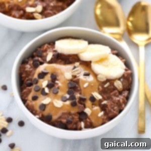 chocolate peanut butter overnight oats in a bowl