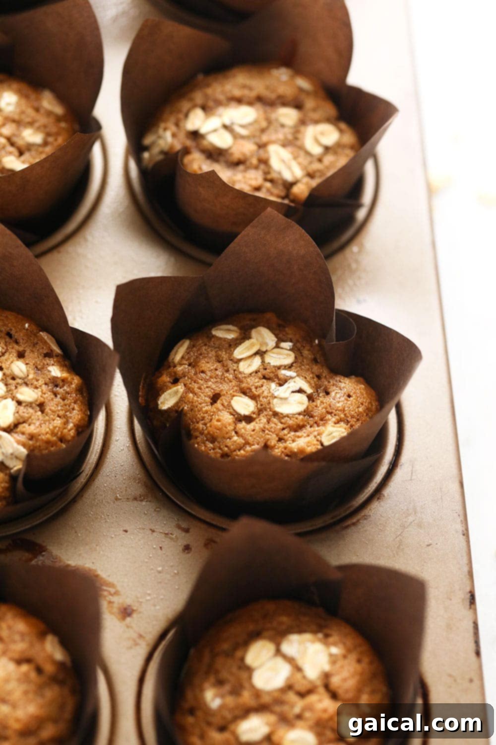 Perfectly Baked Healthy Oatmeal Muffins: Golden & Delicious Freshly baked classic oatmeal muffins, golden brown and perfectly risen, resting in a muffin pan after cooling. Topped with a sprinkle of oats.