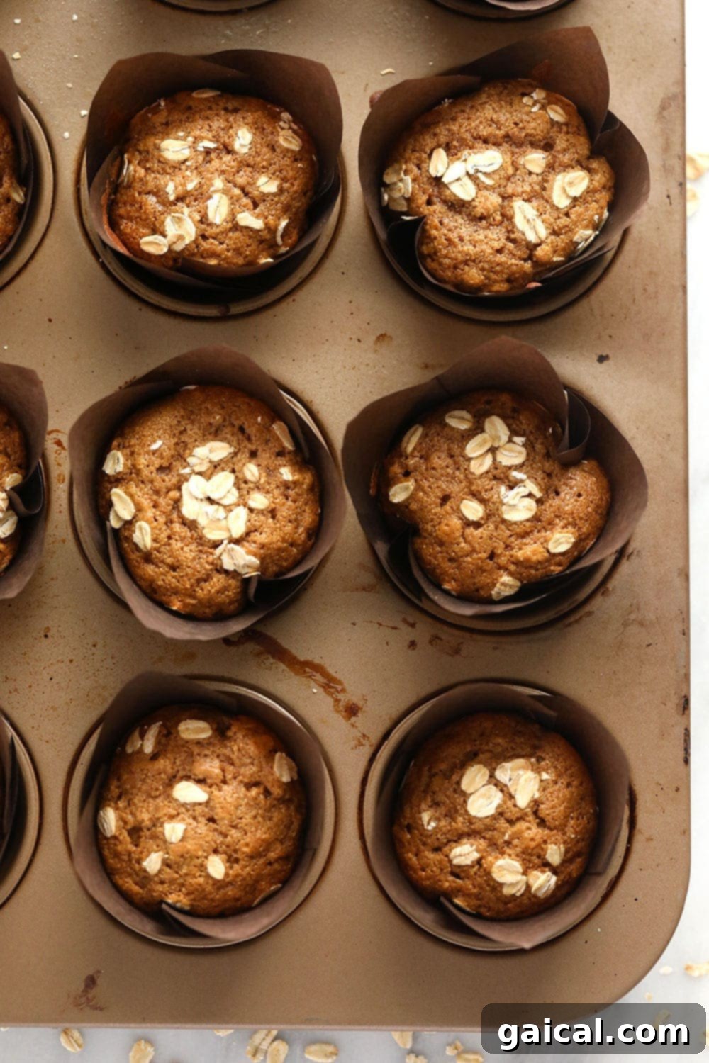 Wholesome Oatmeal Muffins 2 A close-up shot of a single perfectly baked classic oatmeal muffin, showing its moist, tender texture and a generous sprinkle of oats on top. Ready to eat.