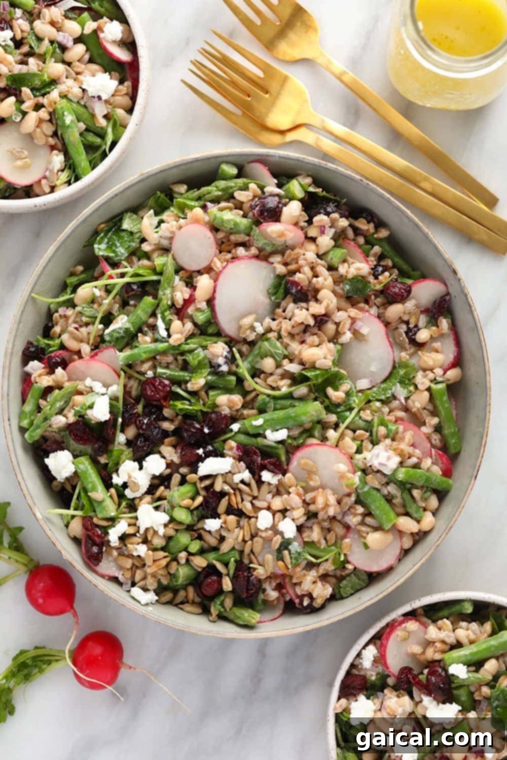 Fresh and vibrant farro salad in a serving bowl with radishes and microgreens