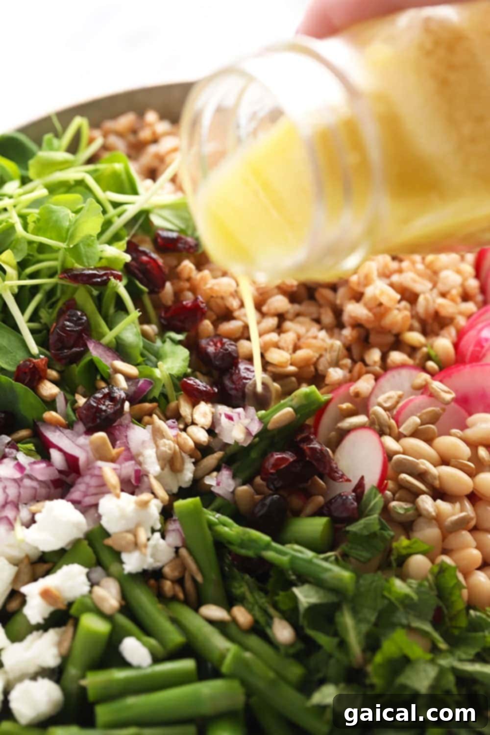 Pouring zesty lemon vinaigrette over a colorful farro salad in a large bowl