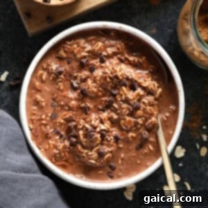 Small square image of chocolate chai vegan overnight oats for the recipe card.