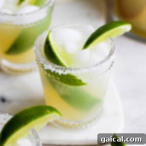Guilt-Free Margarita 4 Two skinny margaritas garnished with lime wedges on a white plate, ready to be served.