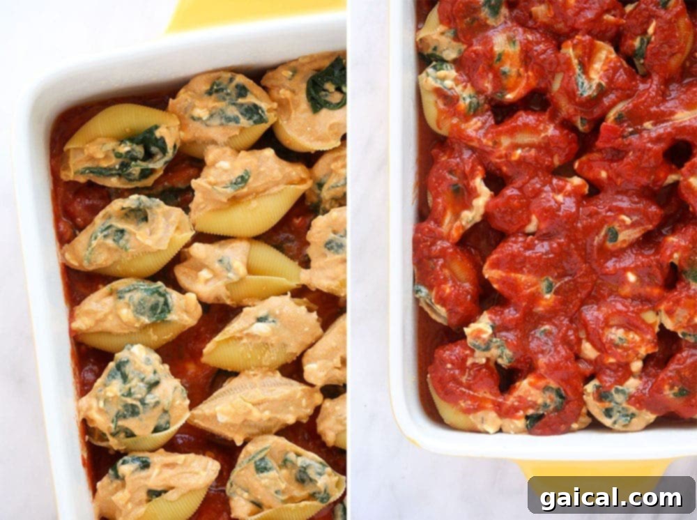 Creamy Sweet Potato, Spinach and Ricotta Stuffed Shells 5 Assembled stuffed shells arranged in a casserole dish, ready for baking.