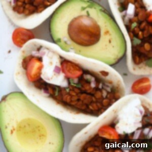 Instant Pot Lentil Tacos close-up A top-down view of a small bowl filled with delicious Instant Pot Lentil Tacos, garnished with fresh cilantro, ready to be enjoyed.