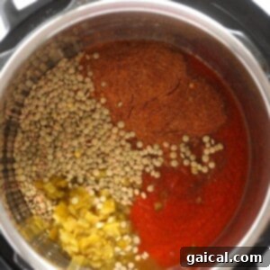Effortless Instant Pot Lentil Tacos 2 An Instant Pot filled with lentils and spices for making delicious lentil tacos.