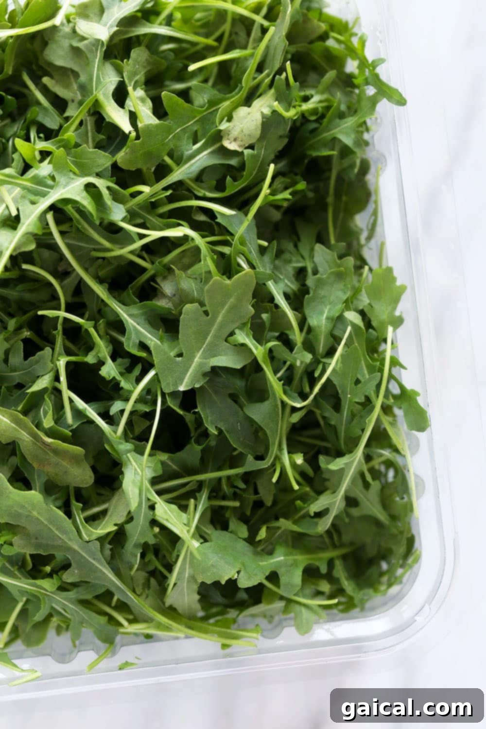 This arugula salad has dried fruit, vegetables, cheese, and a delicious dressing! It is the best arugula salad out there. It is perfect for a meal prep lunch or a great addition to any dinner! A cluster of vibrant green arugula leaves, freshly harvested and nestled in a clear container, ready for culinary use.