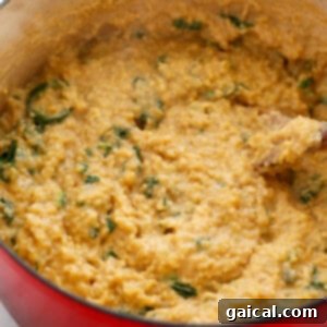Cooked quinoa being stirred into the finished cheese and kale mixture.