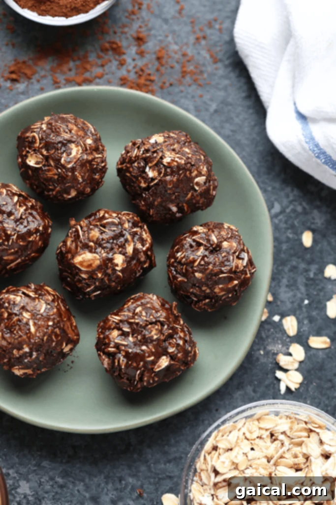 Irresistible No-Bake Peanut Butter Chocolate Bites 2 A beautifully arranged plate filled with round, dark chocolate energy balls, garnished lightly, indicating a healthy and appealing snack or dessert.