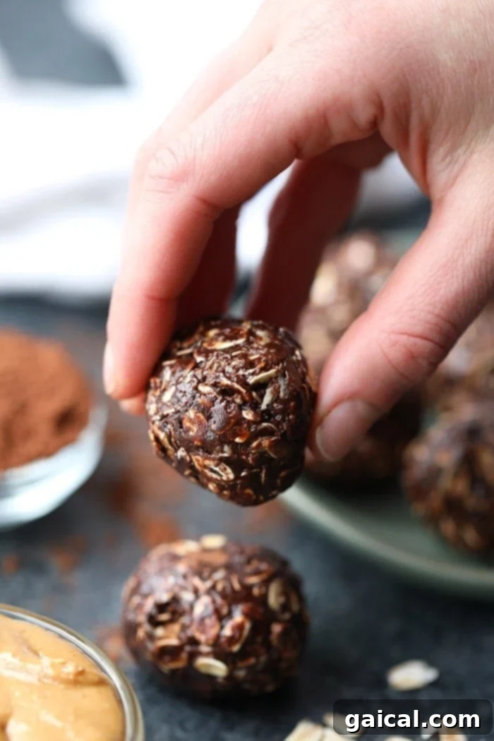 Irresistible No-Bake Peanut Butter Chocolate Bites 3 A close-up shot of a hand gently holding one perfectly formed chocolate no-bake peanut butter ball, emphasizing its homemade quality and inviting texture.