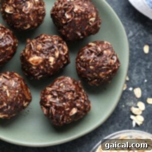 Irresistible No-Bake Peanut Butter Chocolate Bites 4 Cocoa oat balls decorated with peanut butter swirls, meticulously arranged on a plate alongside a small bowl of oats, highlighting their homemade appeal and inviting texture.